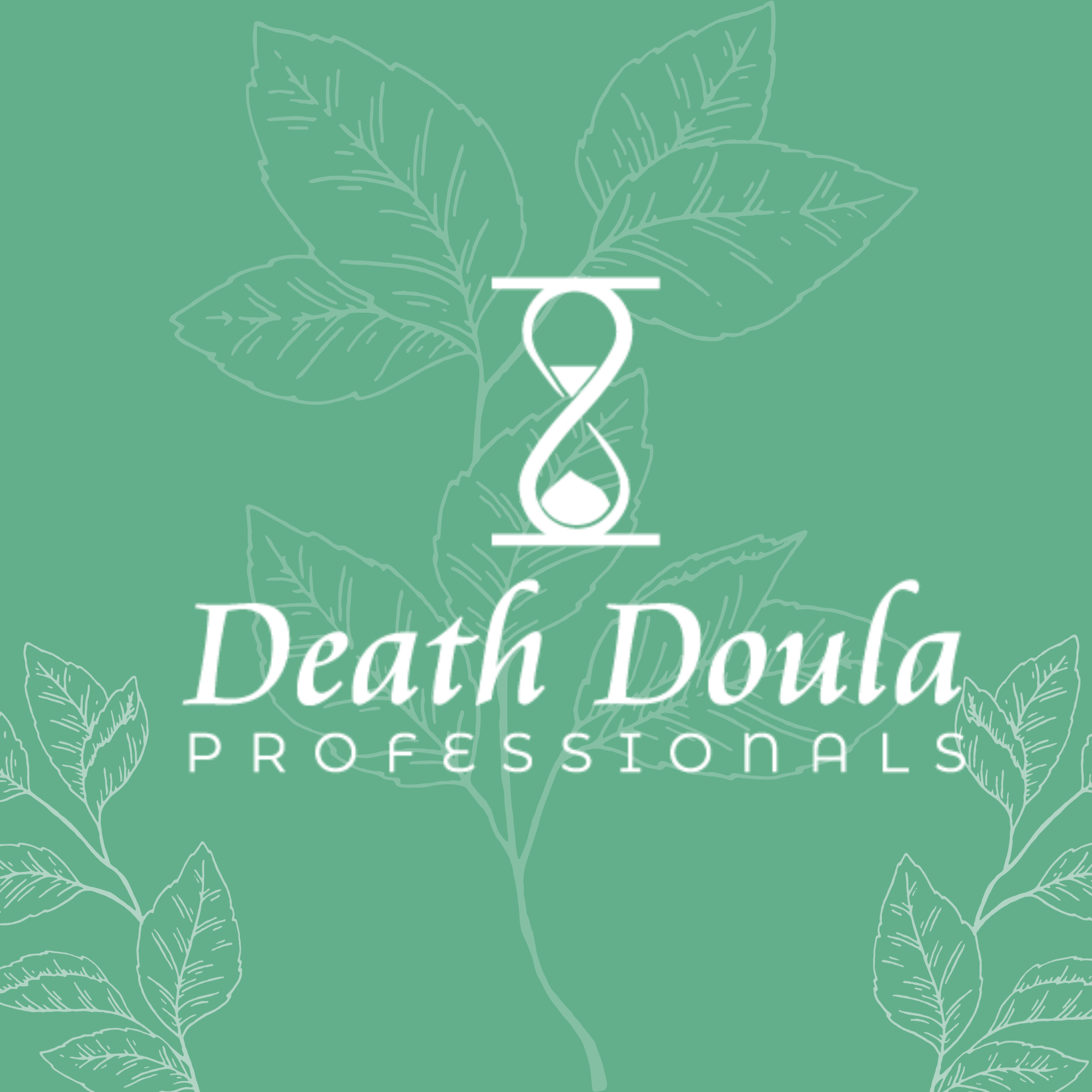 Companion Service Plan - Image 1